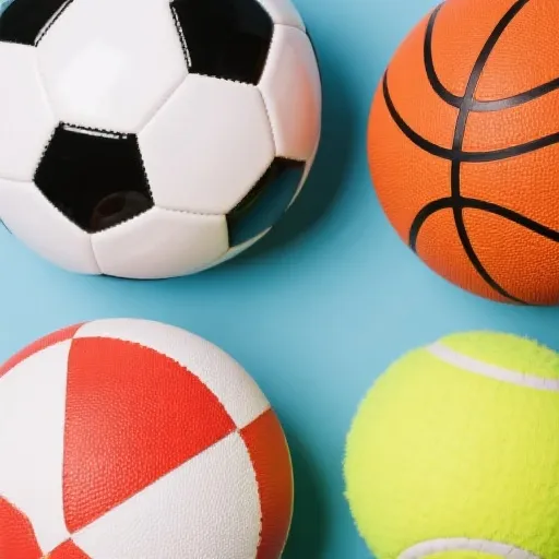 支持的体育项目